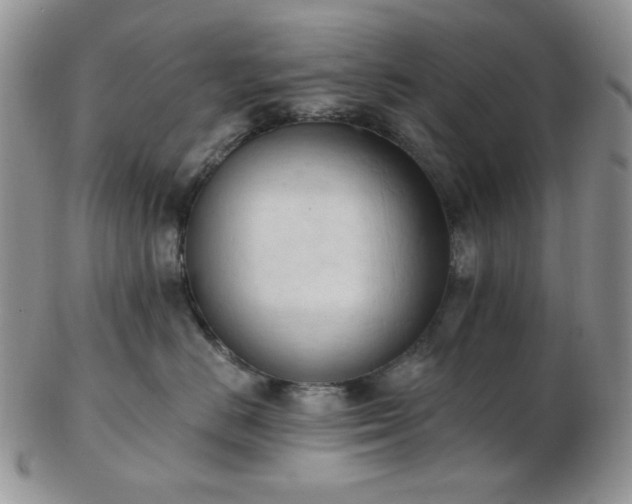 X0000102870670200808251242