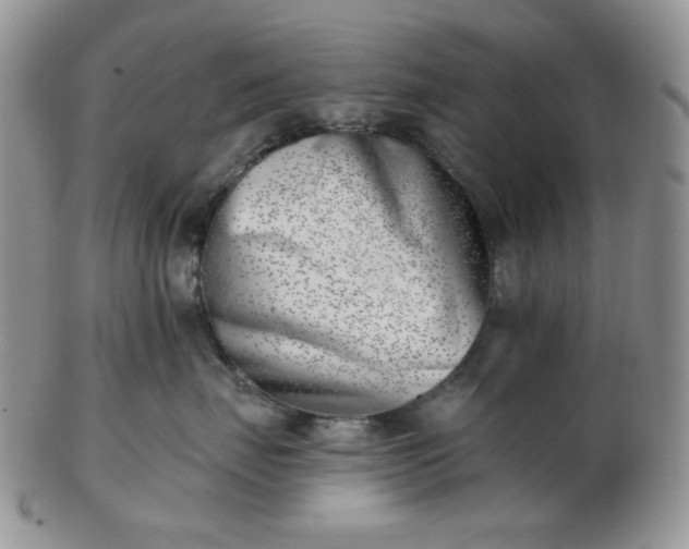 X0000102870671200808251242