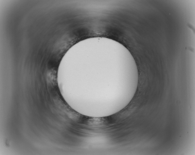 X0000102870672200808251242