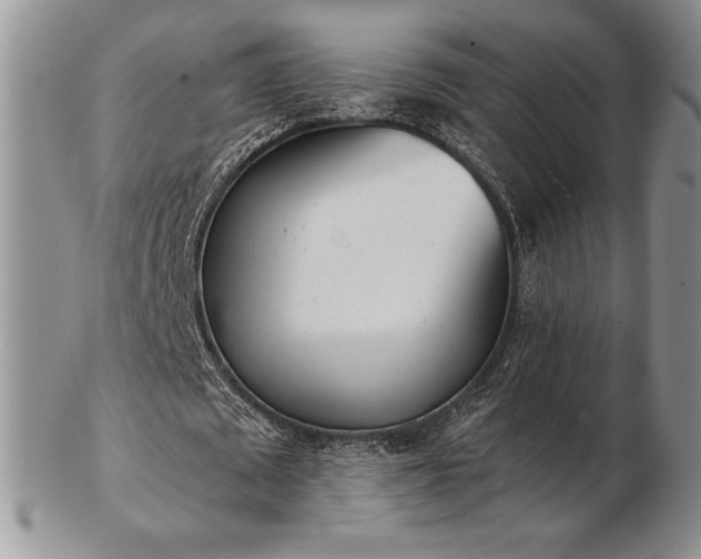 X0000102870673200808251242