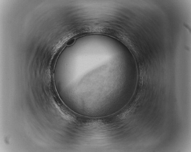 X0000102870674200808251242