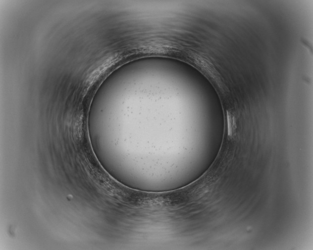 X0000102870675200808251242