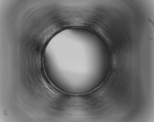 X0000102870677200808251242