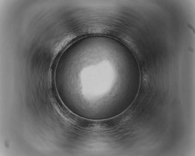 X0000102870678200808251242