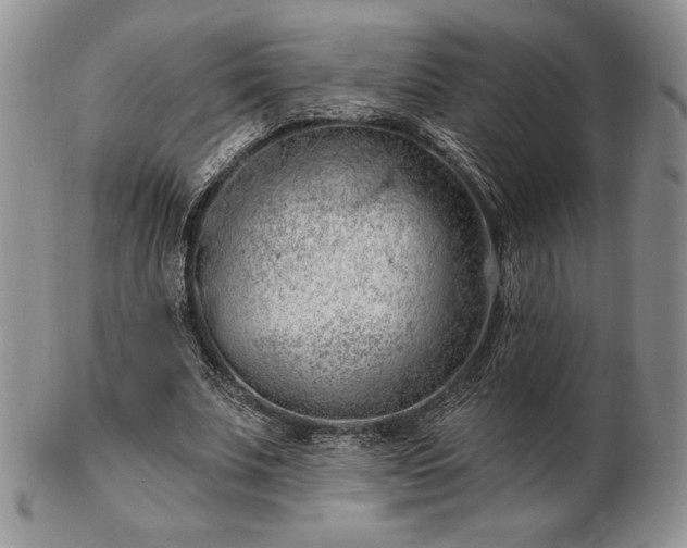 X0000102870679200808251242