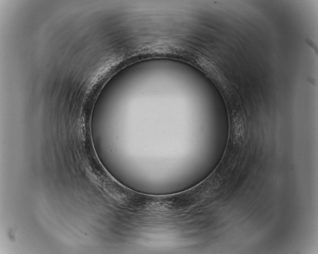 X0000102870680200808251242