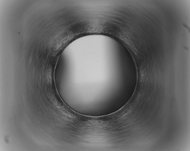 X0000102870681200808251242