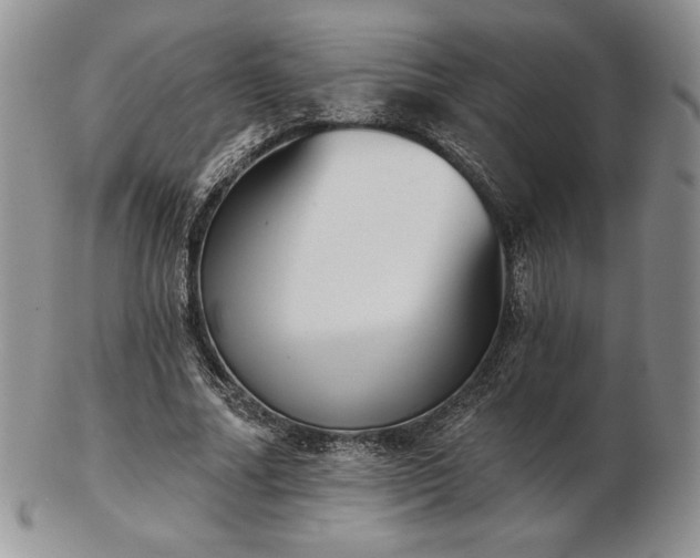 X0000102870682200808251242