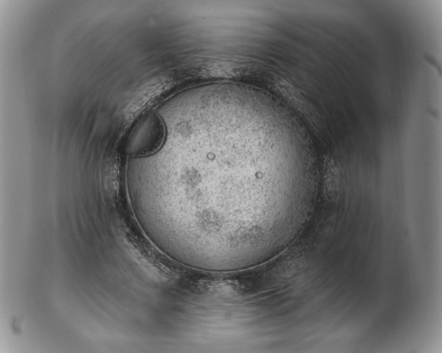 X0000102870683200808251242