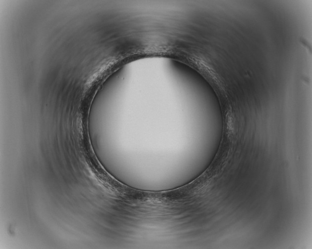 X0000102870684200808251242