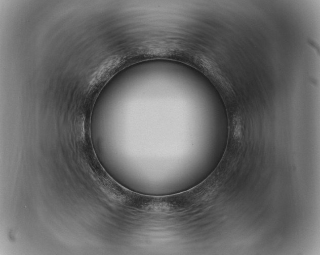 X0000102870685200808251242