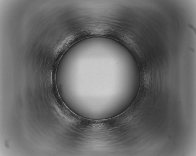 X0000102870686200808251241