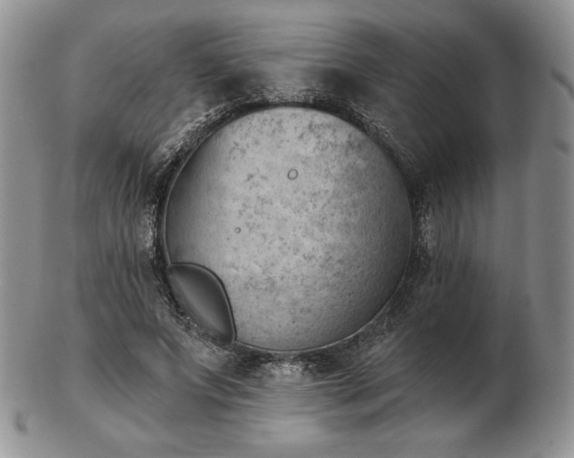 X0000102870687200808251241