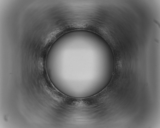 X0000102870688200808251241