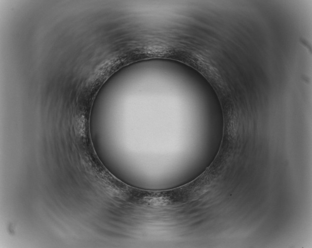X0000102870689200808251241