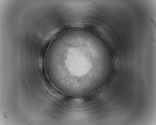 X0000102870692200808251241