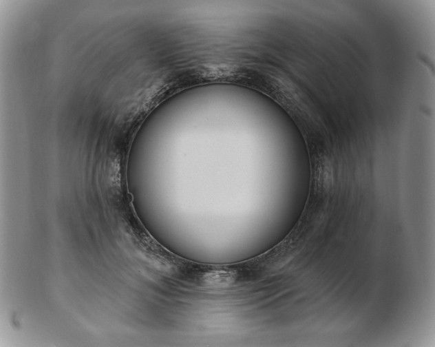 X0000102870700200808251241