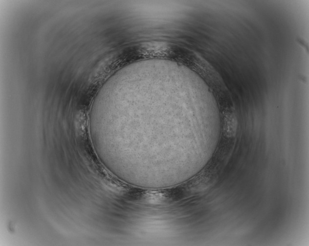 X0000102870701200808251241