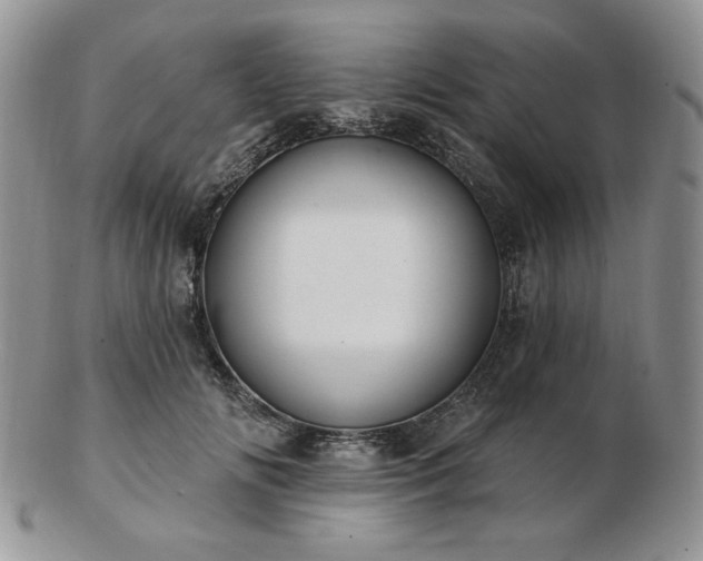X0000102870702200808251241