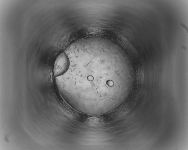 X0000102870703200808251241