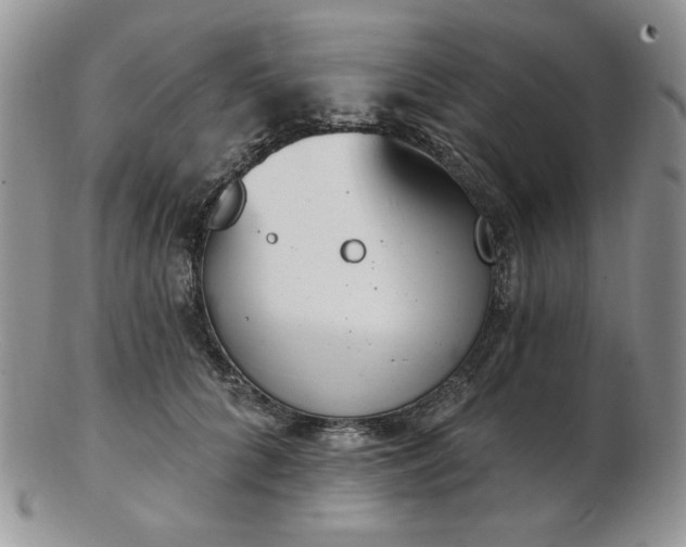 X0000102870704200808251241