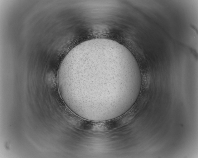 X0000102870705200808251241
