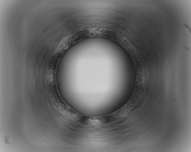 X0000102870706200808251241