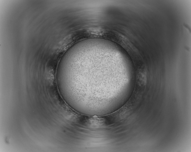 X0000102870707200808251241