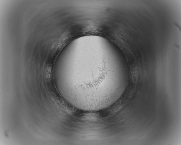 X0000102870708200808251241