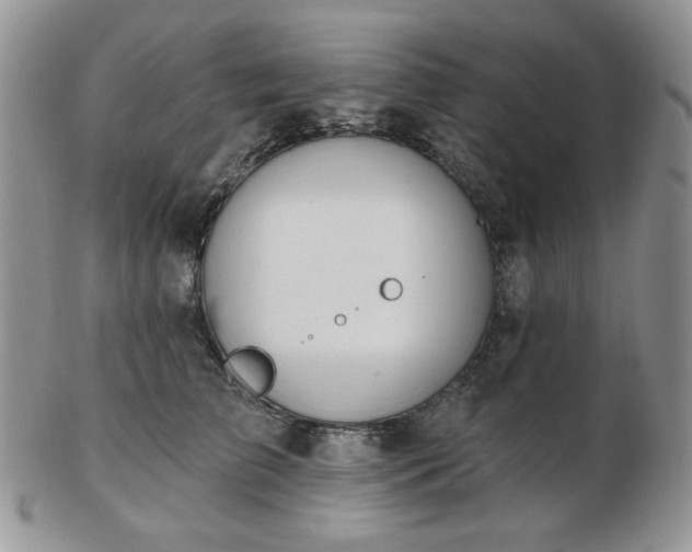 X0000102870709200808251241