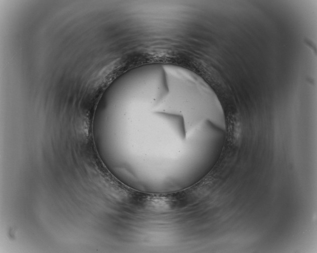 X0000102870710200808251241