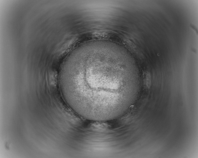 X0000102870712200808251241