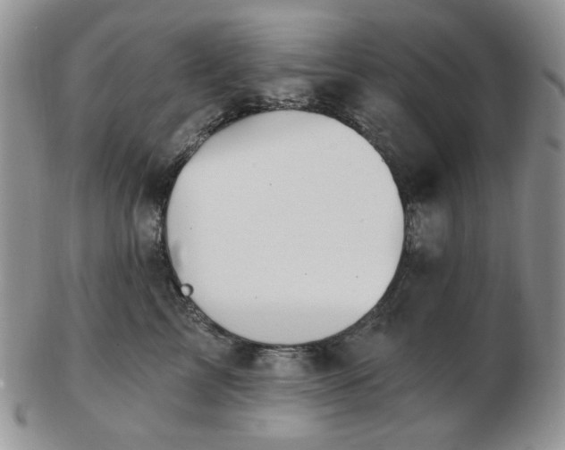 X0000102870713200808251241