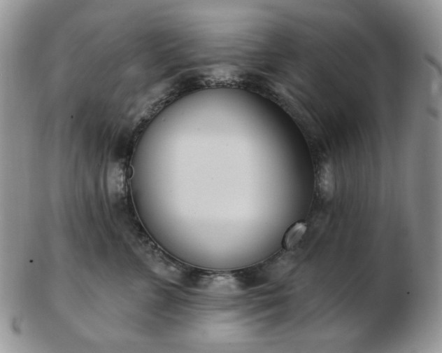 X0000102870715200808251241
