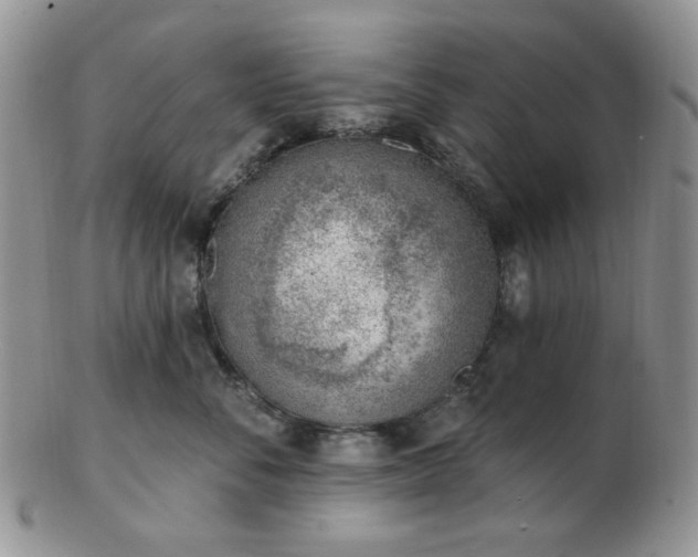 X0000102870716200808251241