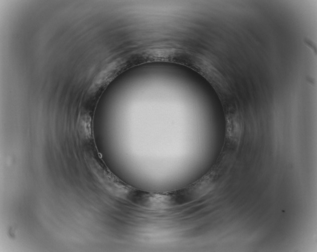 X0000102870718200808251241