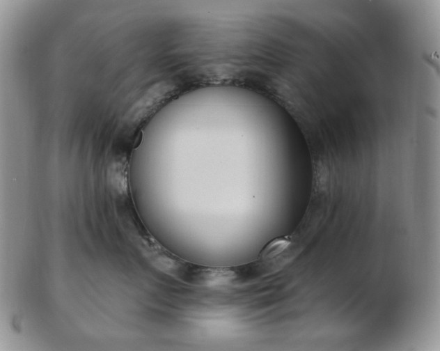X0000102870719200808251241