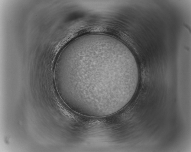 X0000102870721200808251240