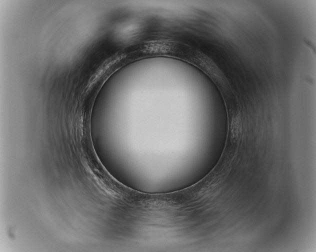 X0000102870722200808251240