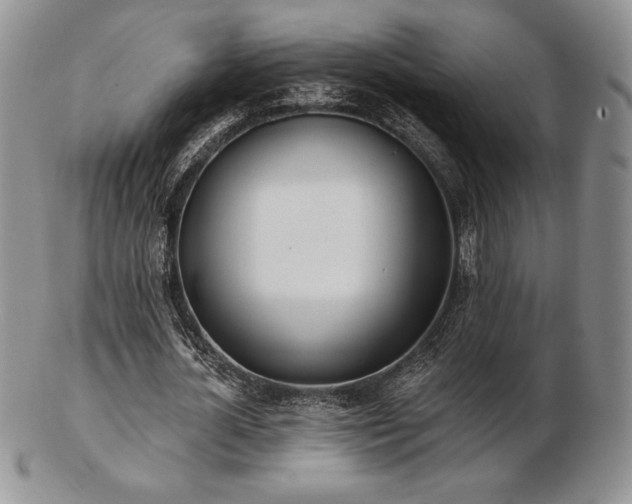 X0000102870724200808251240