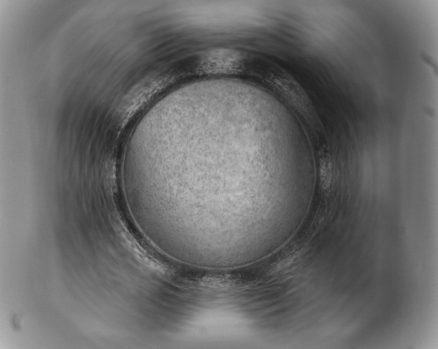 X0000102870725200808251240