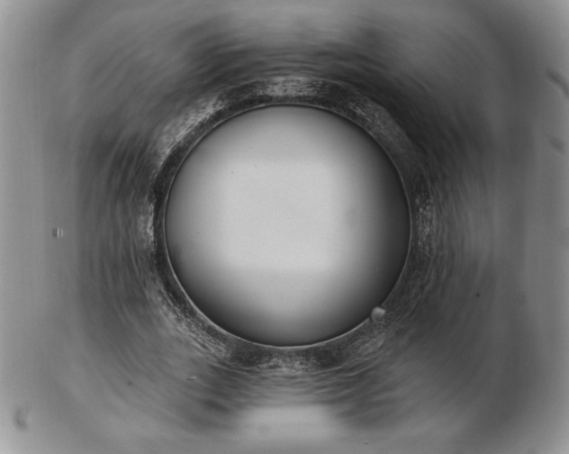 X0000102870727200808251240