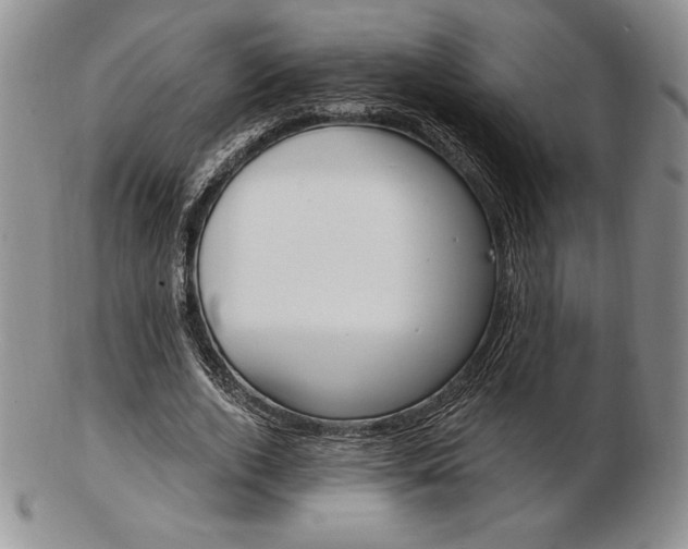 X0000102870728200808251240