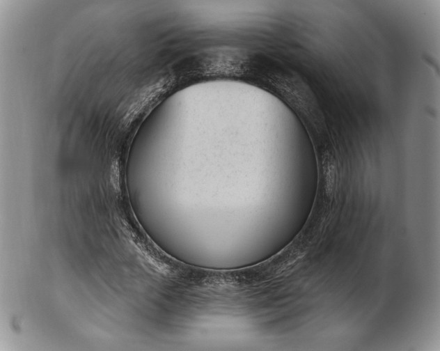 X0000102870729200808251240