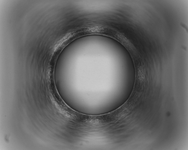 X0000102870730200808251240