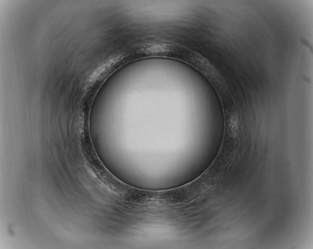 X0000102870732200808251240