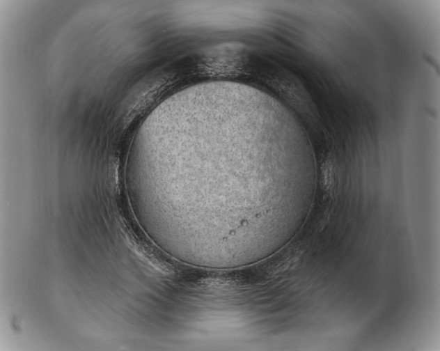 X0000102870733200808251240