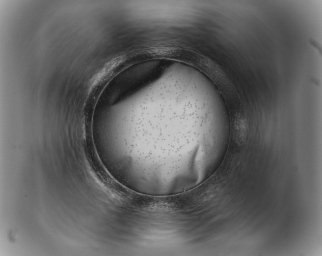 X0000102870734200808251240