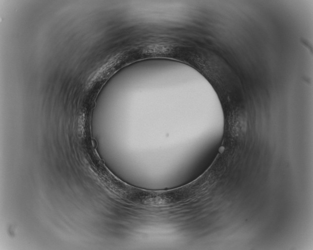 X0000102870735200808251240