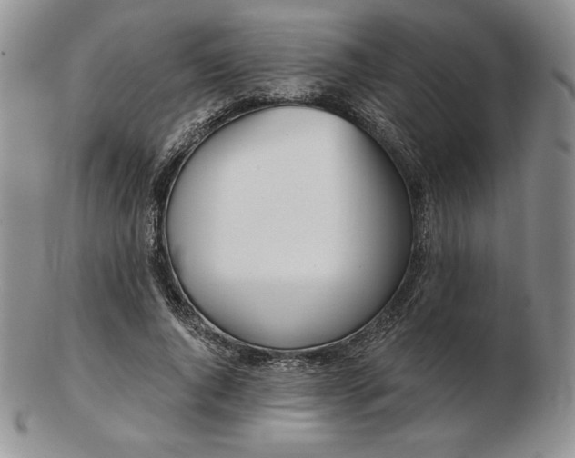 X0000102870736200808251240